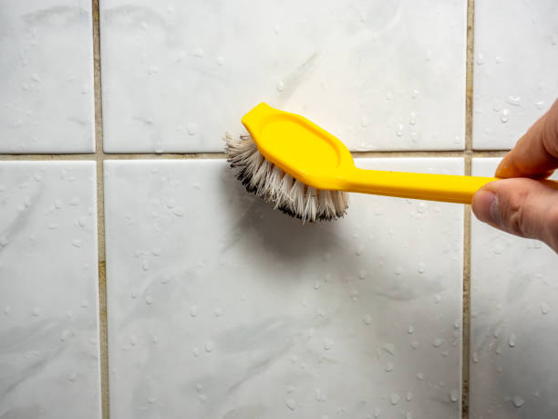 Best Mold Cleaning Services  in Lewiston, UT