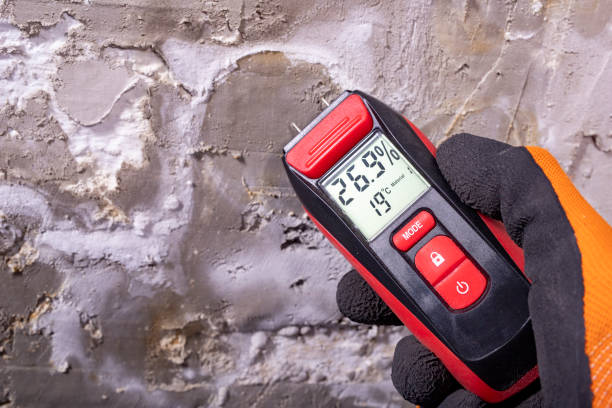 Best Mold Cleaning Services  in Lewiston, UT