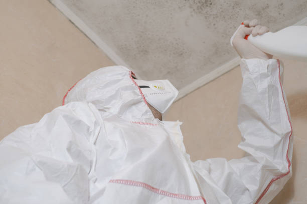 Best Emergency Mold Removal  in Lewiston, UT